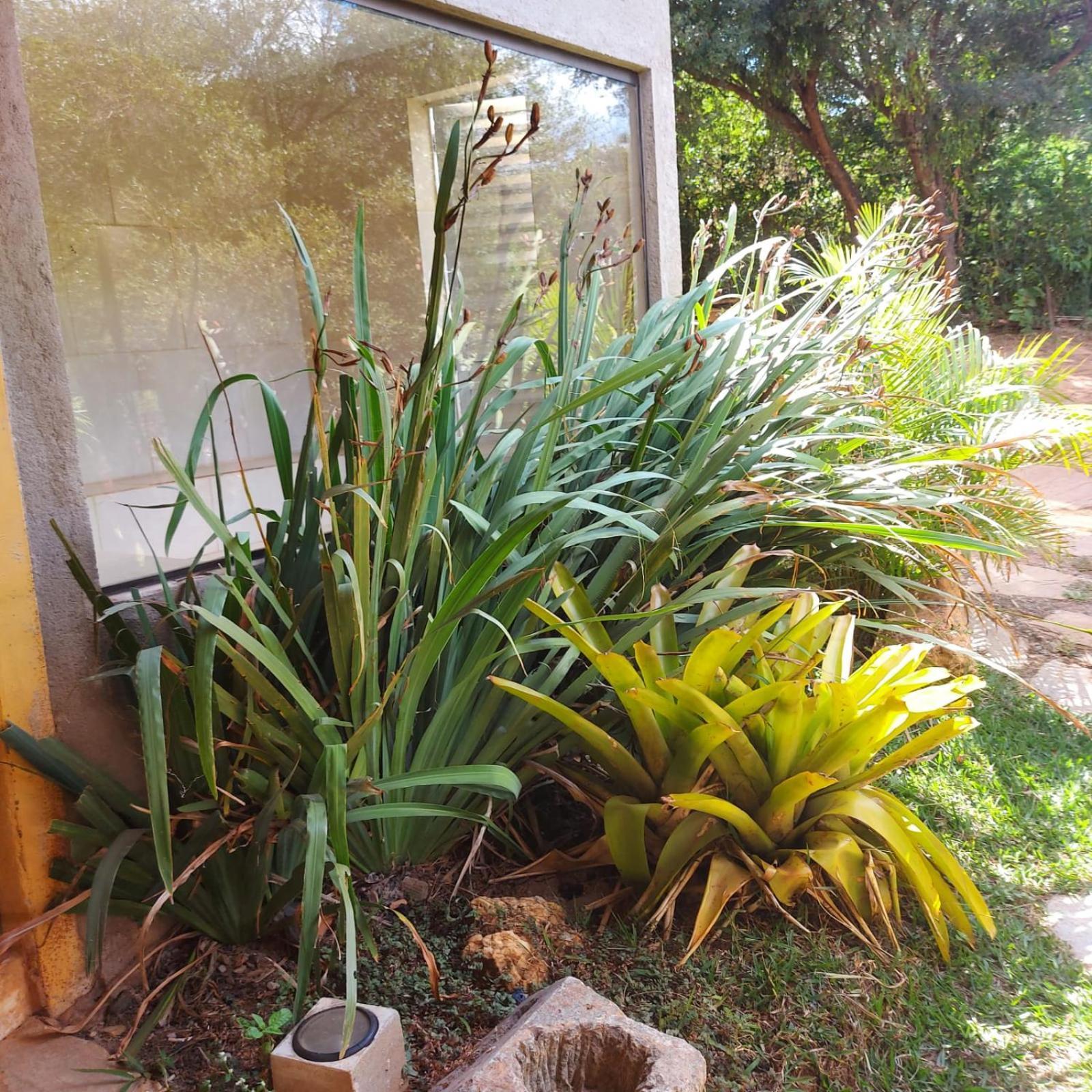 Casas E Apartamentos Da Praia, Lapinha Na Beira Do Lago ซานตานาโดฮิอาโช ภายนอก รูปภาพ